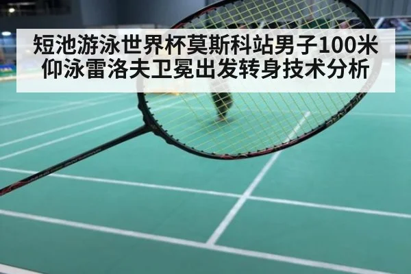 短池游泳世界杯莫斯科站男子100米仰泳雷洛夫卫冕出发转身技术分析