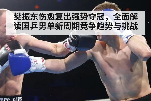 樊振东伤愈复出强势夺冠，全面解读国乒男单新周期竞争趋势与挑战