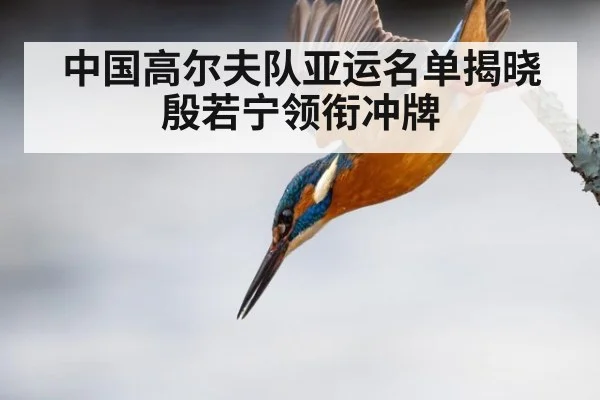 中国高尔夫队亚运名单揭晓 殷若宁领衔冲牌
